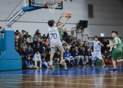 fsp it minibasket-cup-gran-successo-n624 020