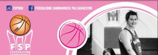 fsp it basket-in-rosa-sul-titano-n526 021